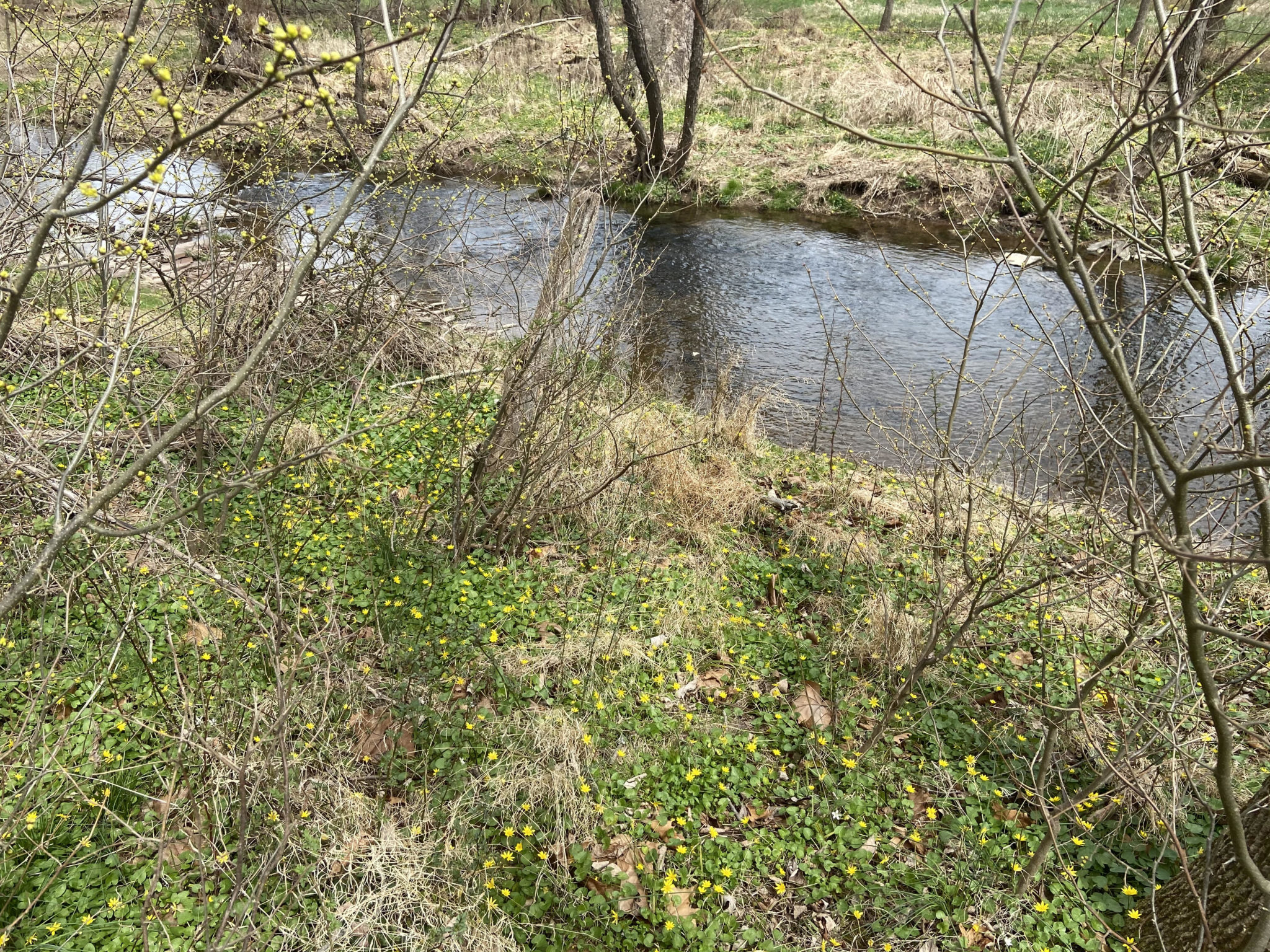 Stronger State Protections for Local Waterways | thewatershed.org