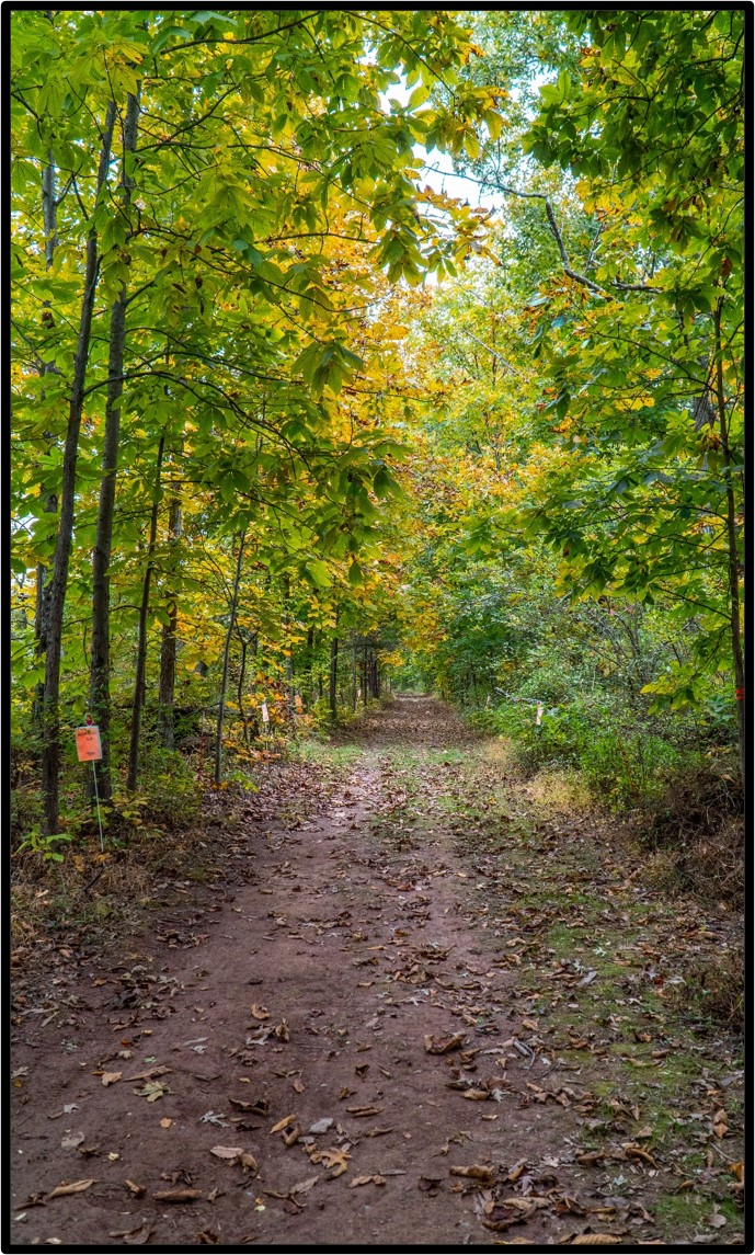 Summer Programs Events 2021 Thewatershed Org