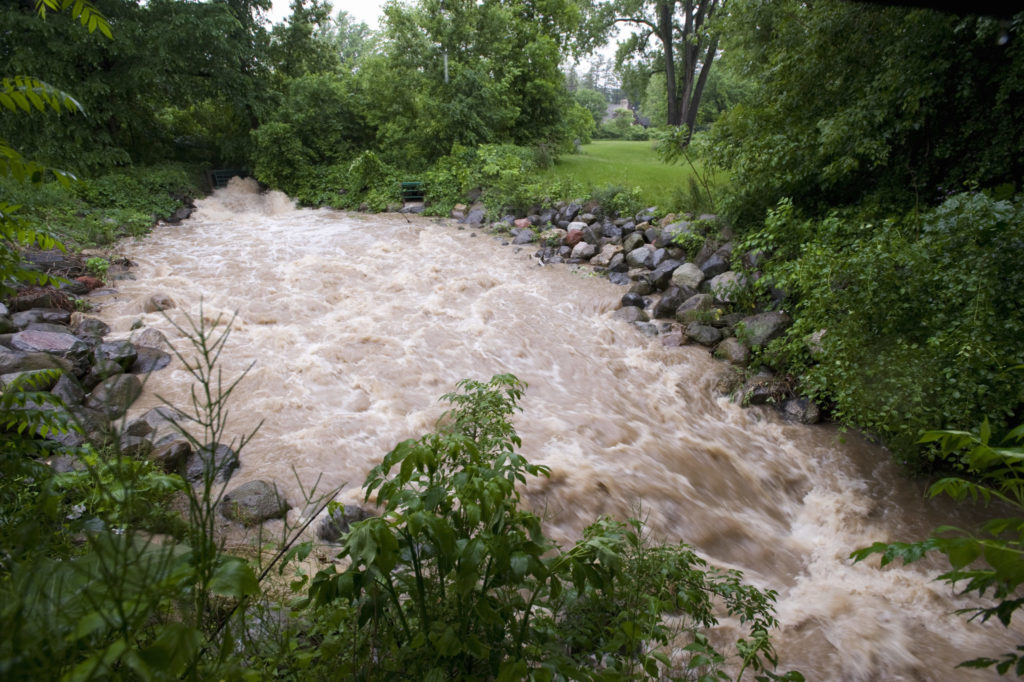 Municipal Separate Storm System (MS4) Permit | thewatershed.org
