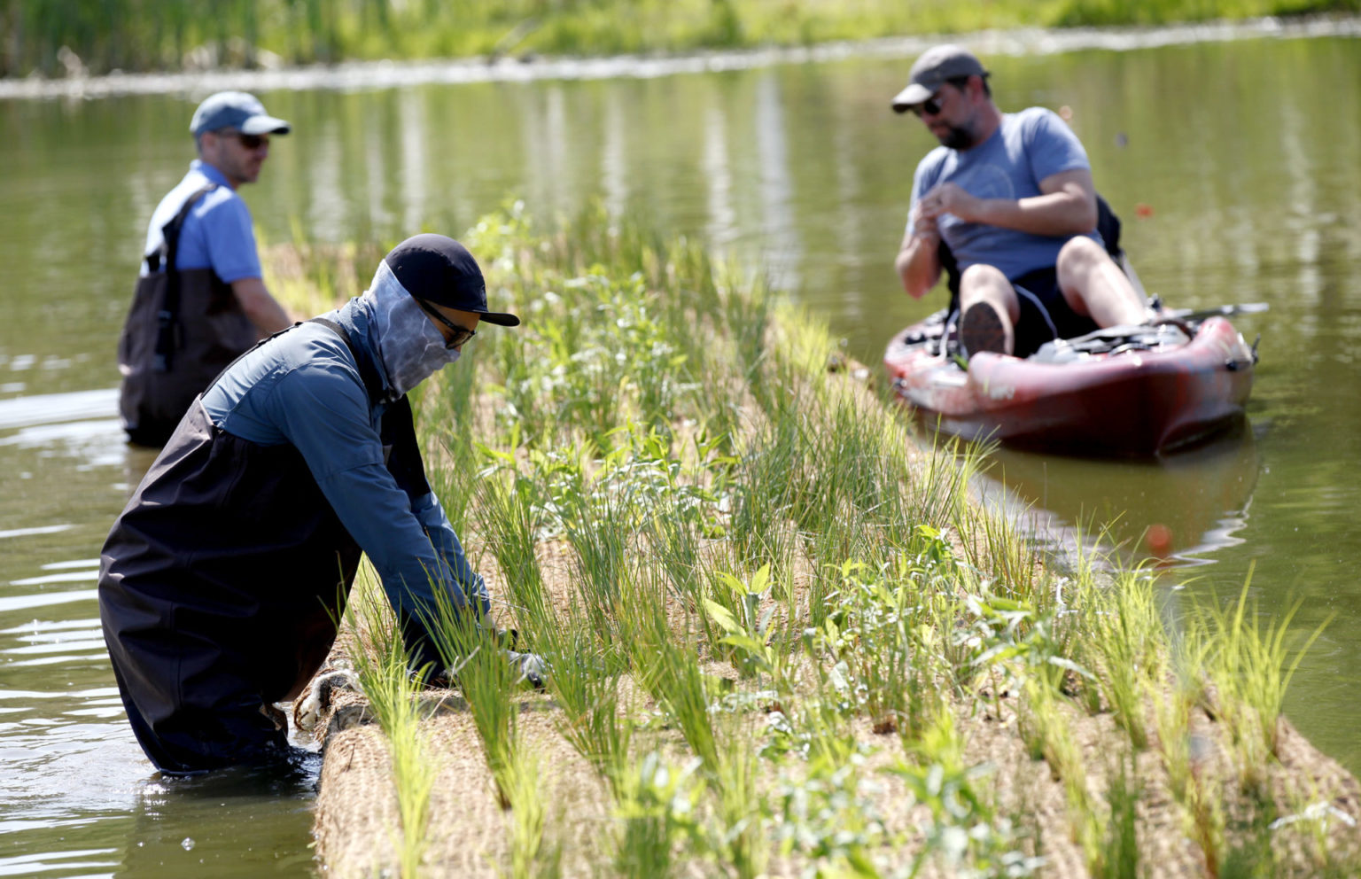 Floating Wetlands Launched At Rosedale Lake