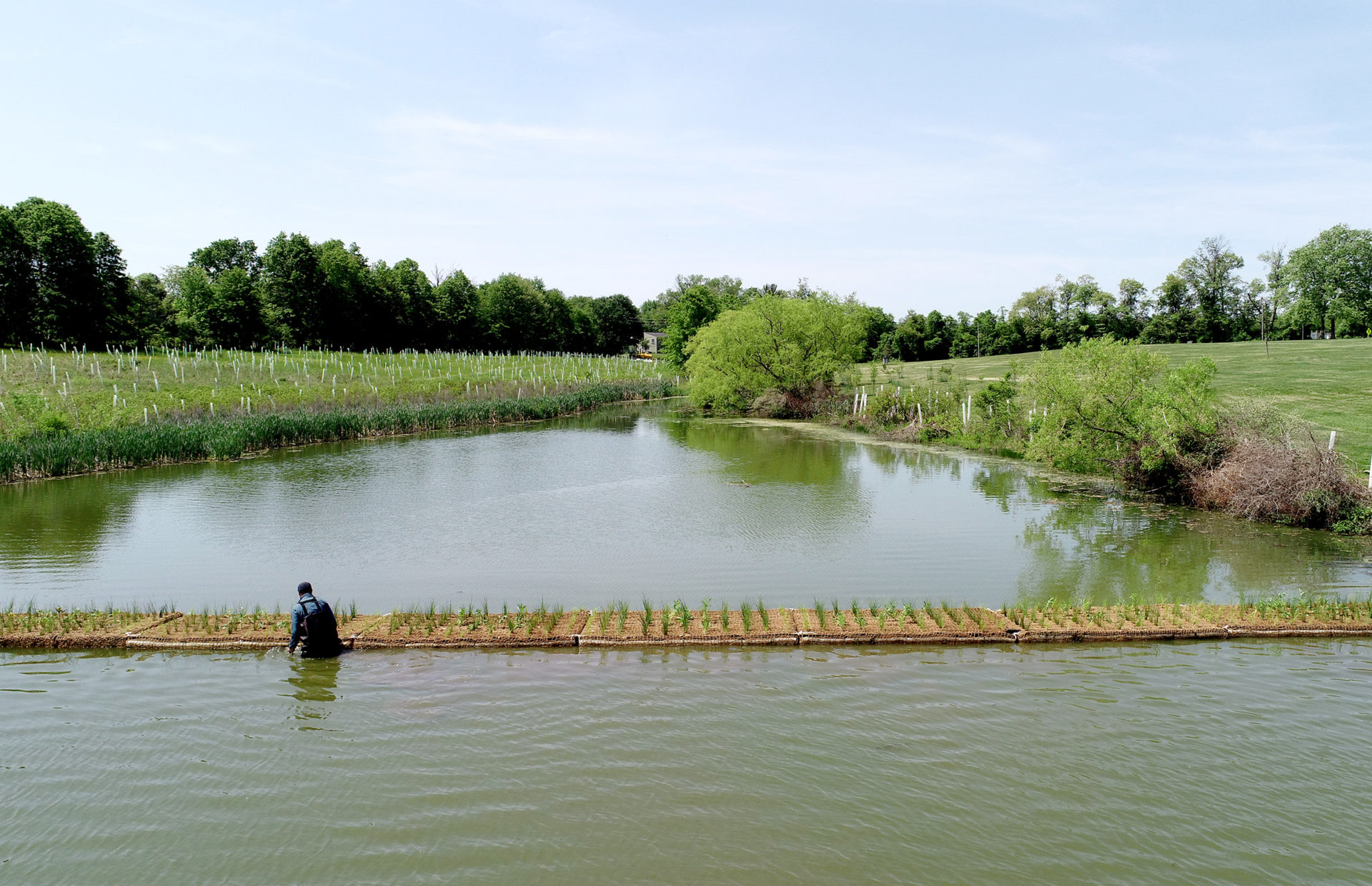 Floating Wetlands Launched At Rosedale Lake