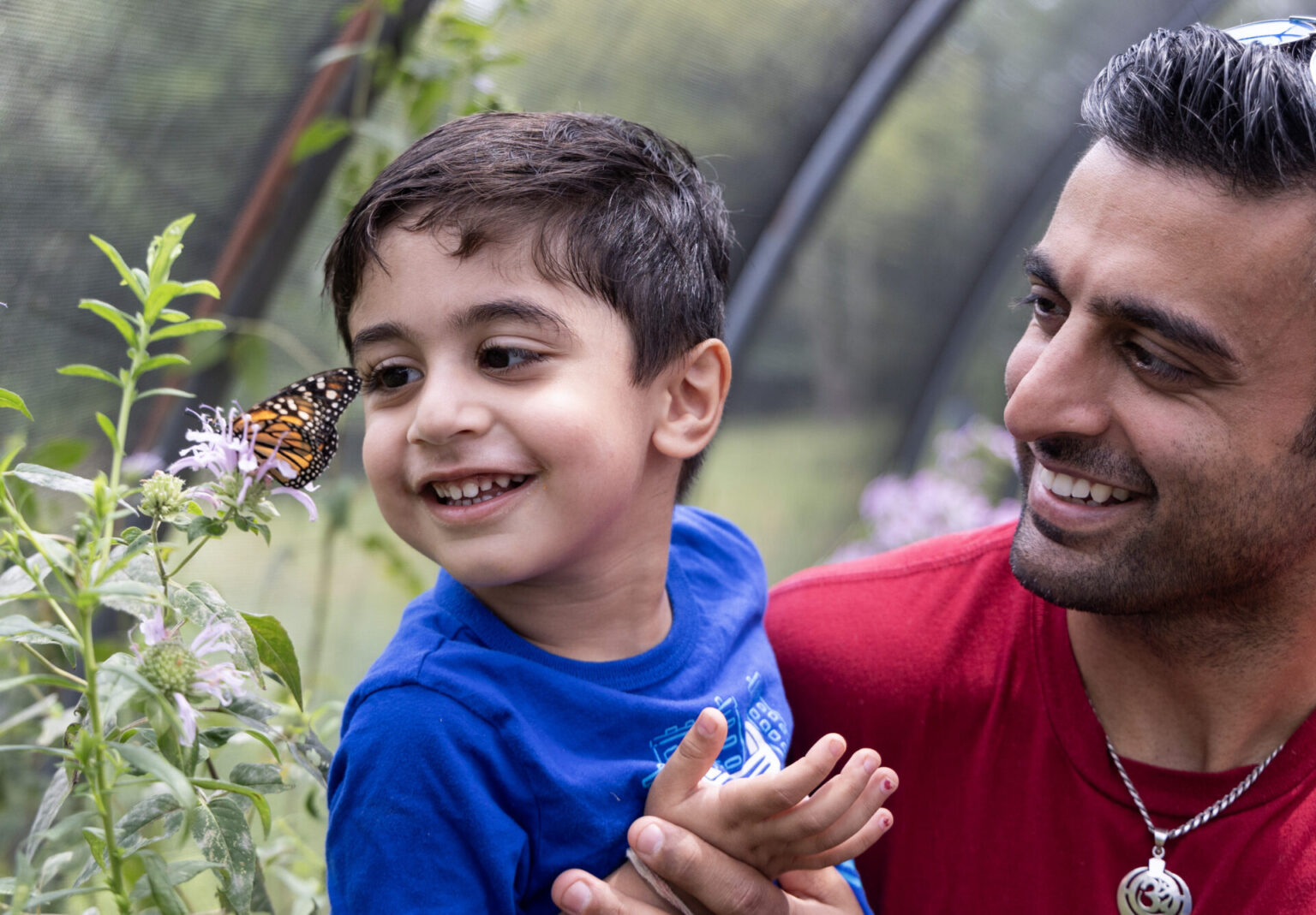 Watershed Butterfly Festival 2024