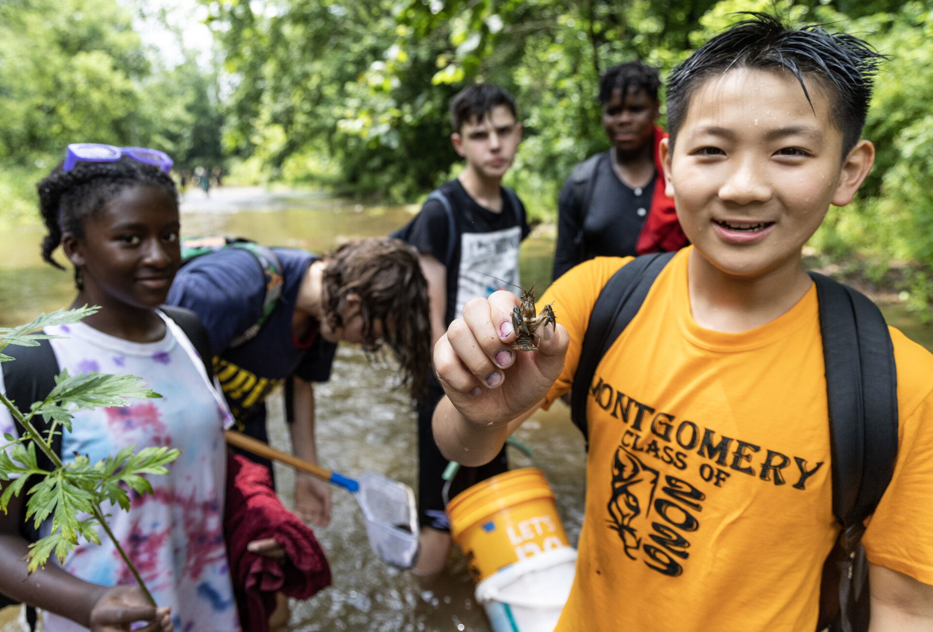 Watershed Nature Camp