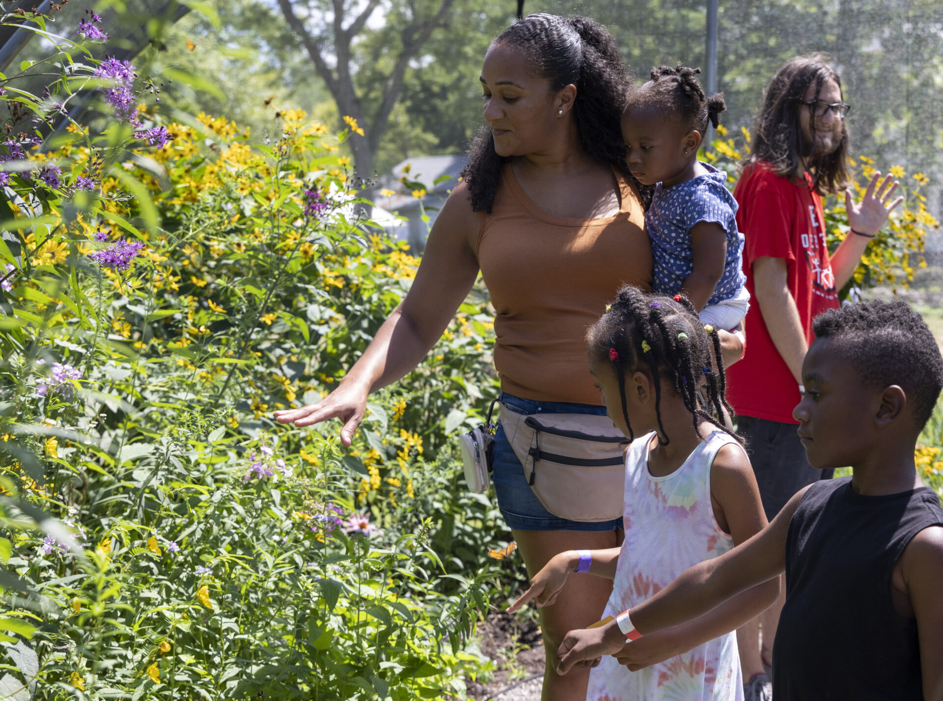 Watershed Butterfly Festival 2024