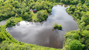 pond