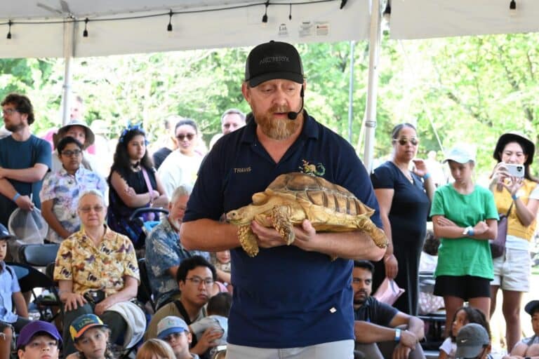 Butterfly Festival - 080225 - KZ (307) (1)