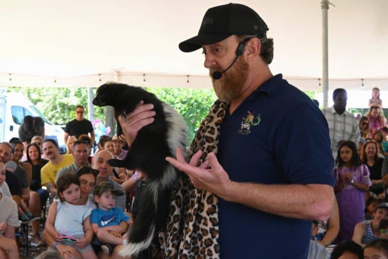 Butterfly Festival - 080225 - KZ (330)