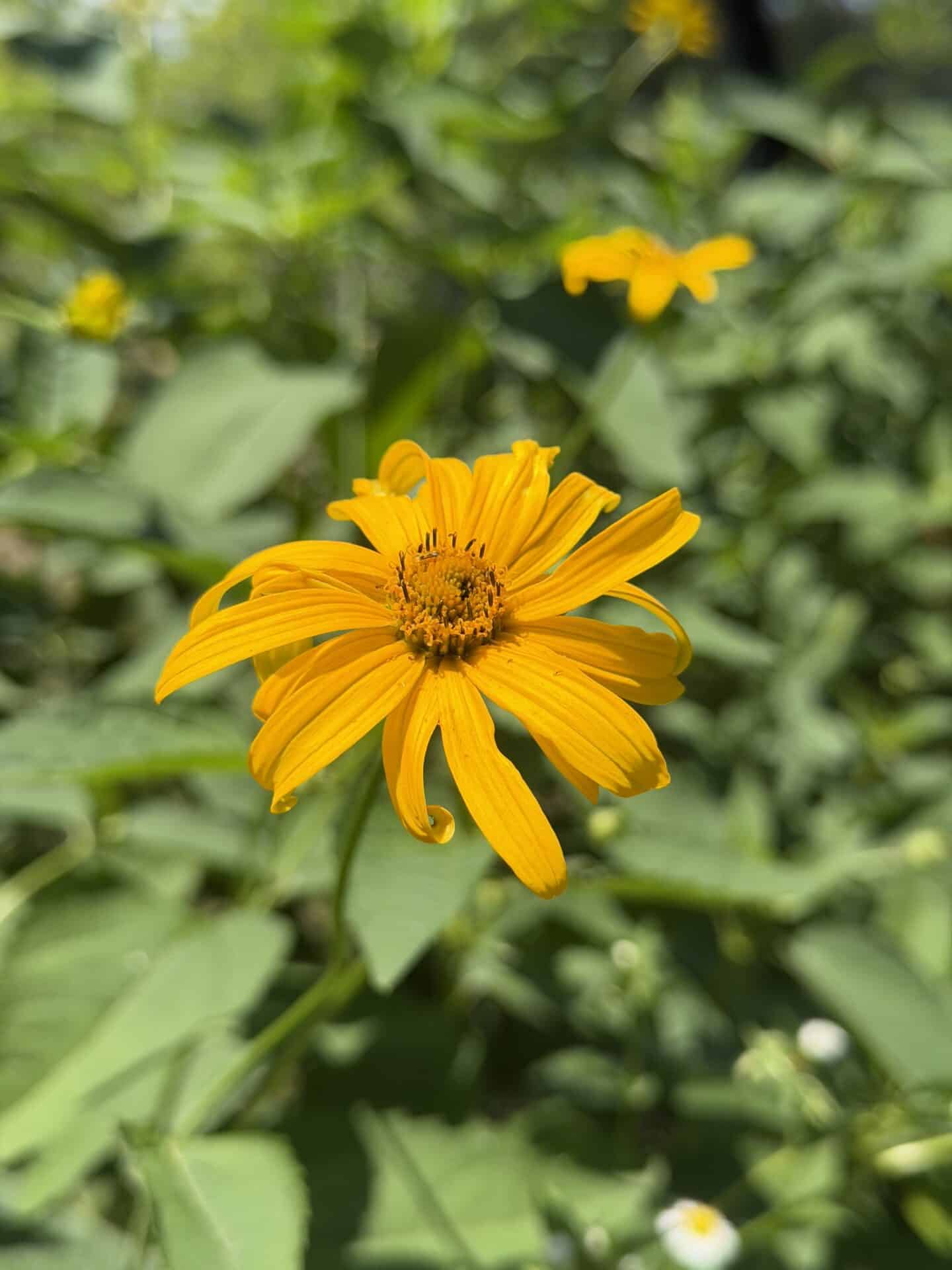 IMG_1814