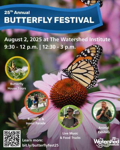 butterfly festival 2025 at the watershed institute